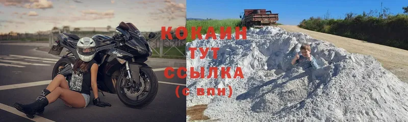 где купить наркоту  гидра как войти  Cocaine Fish Scale  Горно-Алтайск 